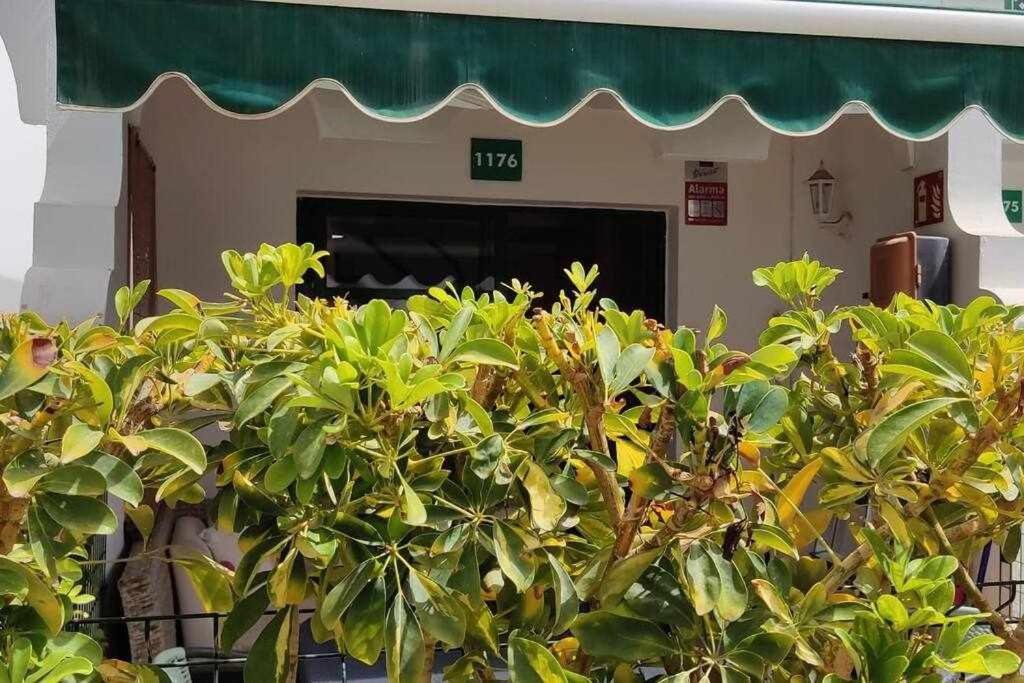 Raga Home - Bungalow With Swimming Pool In Maspalomas Maspalomas  Exterior foto